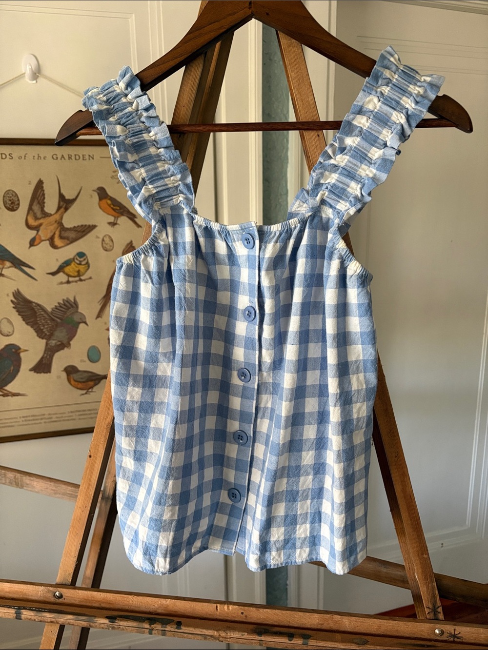 Velvet Blue and White Gingham Ruffle Strap Button-Front Top